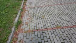 oczyszczanie chodników i parkingów z przerastających traw przy ul. Gen. Bem