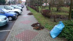 sprzątanie terenu przy placu Ofiar Katynia