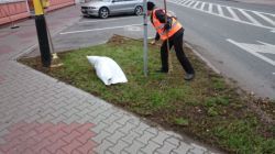 oczyszczanie chodników z przerastających traw przy ul. 3 Maja