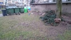 sprzątanie terenów gminnych przy ul. Warszawskiej