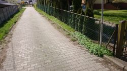 oczyszczanie drogi z przerastających traw  - ul. Wojska Polskiego - Promenada