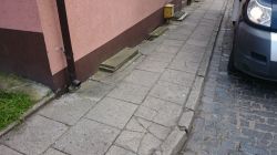 oczyszczanie z przerastających traw przy ulicach: Czarnieckiego i Luboszan