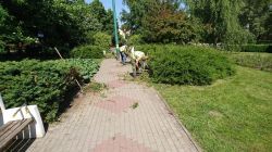 pielęgnacja zieleni i sprzątanie placu Ofiar Katynia