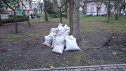 Plac Ofiar Katynia - wywóz zgrabionych liści