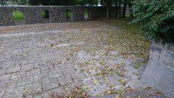 plac za pomnikiem - sprzątanie liści