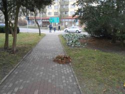  plac ofiar Katynia - sprzątanie
