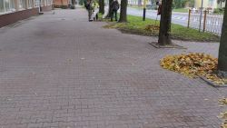 Sprzątanie, grabienie liści na ul. 700 lecia w Nowogardzie