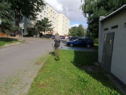 koszenie trawników i porządki koło parkingu przy ul. Warszawskiej